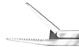 Ear Forceps - X0240